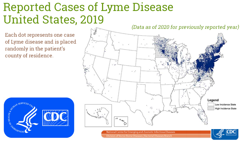 Lyme Disease Northeast United States