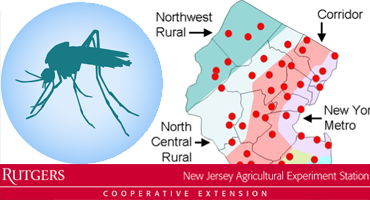 New Jersey Statewide Adult Mosquito Surveillance Reports