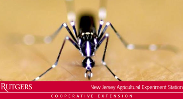 Mosquito Biology and Control - Information for Residents