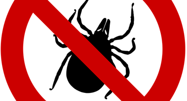 How To Prevent Ticks In NJ