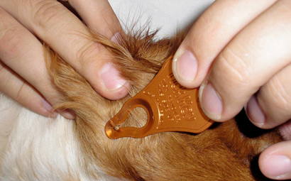 Perform a daily tick check after being outdoors