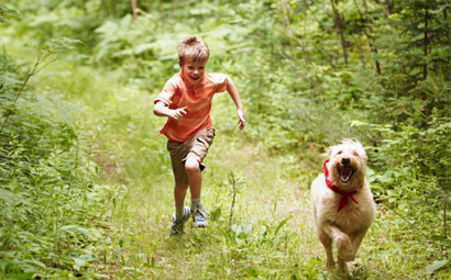 Keep cats and dogs out of the woods and brush