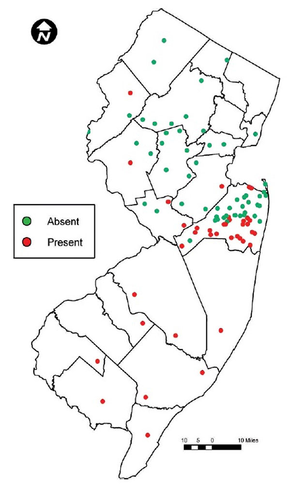 Documented distribution of lone star ticks in New Jersey, 2008. Reproduced from Schulze et al. (2011)