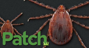 Rare Tick Found In NJ An Emerging Threat CDC Says