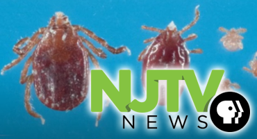 NJ and US Uptick in Lyme Disease