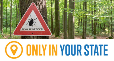 Experts Predict That The Tick Population In New Jersey Will Be Extremely High This Year