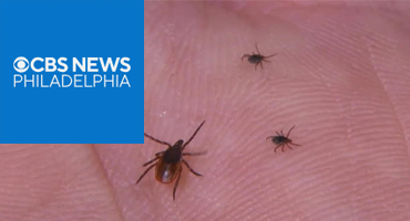 Could Climate Change Be Behind Uptick In Tick Population?