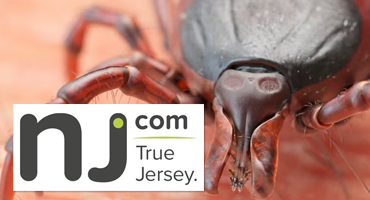 Tick Bites Surge In N.J.