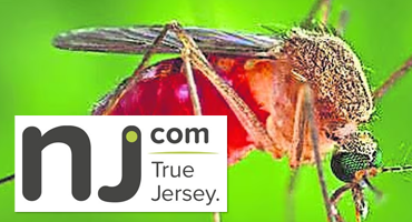 West Nile Virus in New Jersey