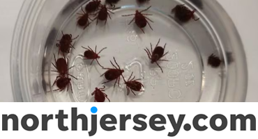 Summer Looks To Be A Rough Tick Season In NJ And Beyond