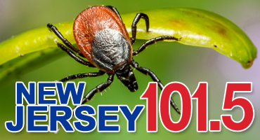 A Worse Tick Season For NJ In 2024