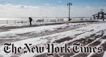 Ticks and the Bomb Cyclone