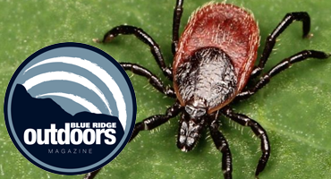 The East Cost Will Be a Lyme Disease War Zone This Year