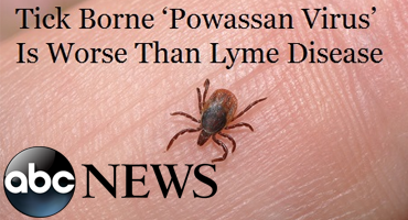 Rare, Deadly Tick-borne Disease Powassan Found in PA And NJ