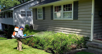 Work with Backyard Bug Busters