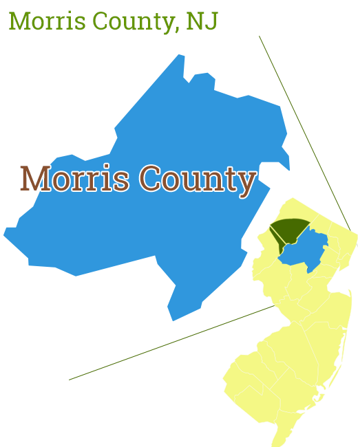 Morris County New Jersey Tick and Mosquito Control