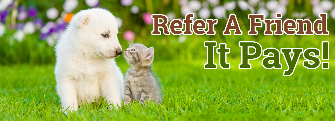 Refer A Friend Today