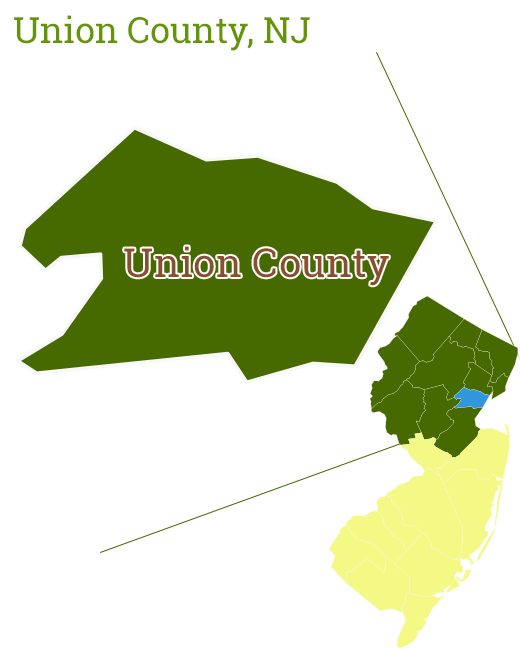 Union County New Jersey Tick and Mosquito Control